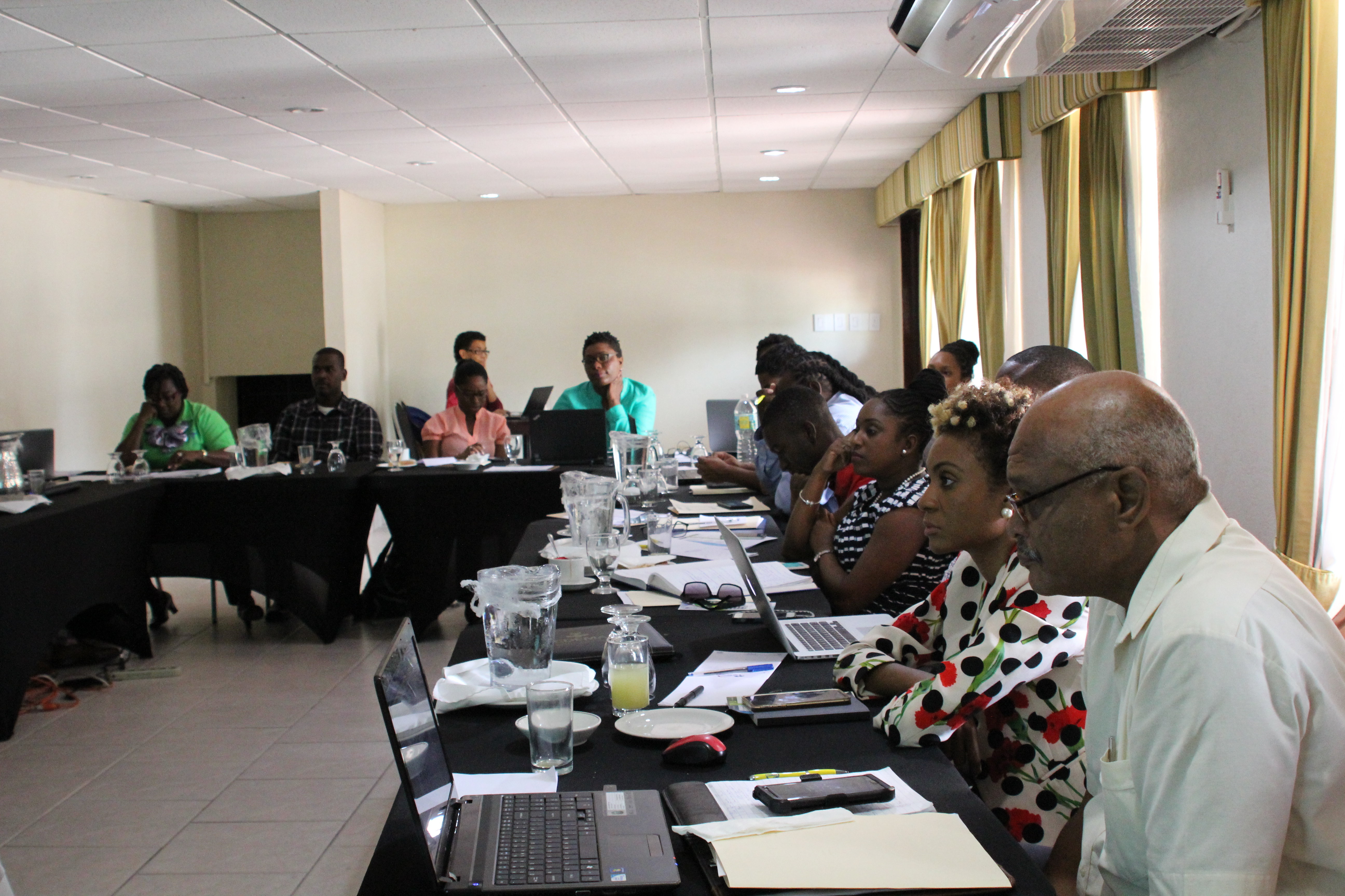Regional stakeholders involved with numerous areas of resilience-building attended the pilot of the Community-based Disaster Resilience course in Barbados.