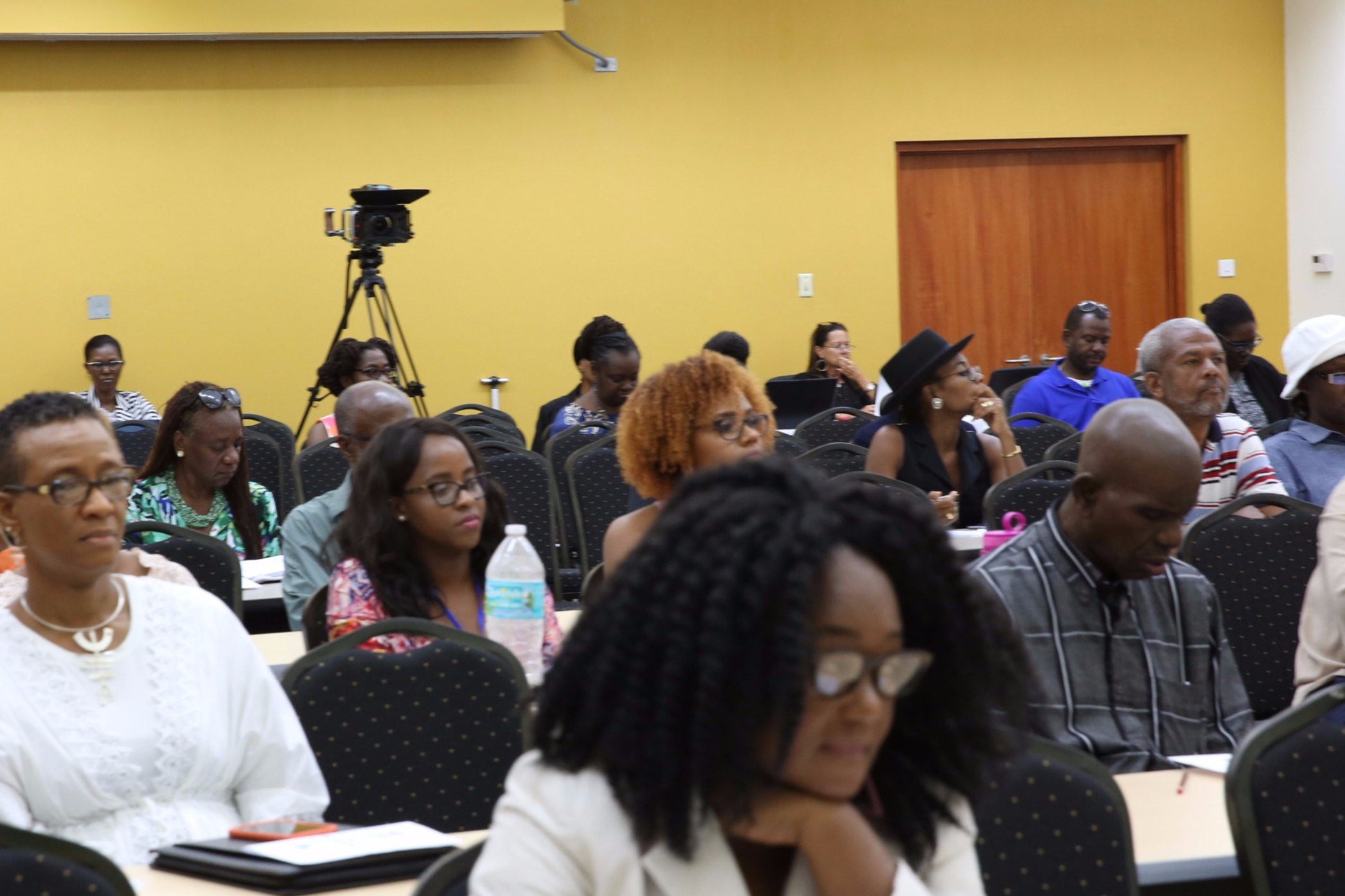 Participants at the Cultural Policy and Intellectual Property Rights workshop on August 20, 2017, held at the University of the West Indies, Cave Hill campus.