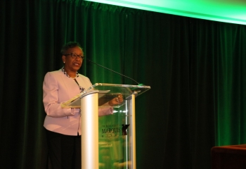 CDB: Technical support, diversity critical in Caribbean's shift to clean energy