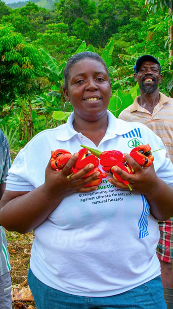 People cultivating vegetables