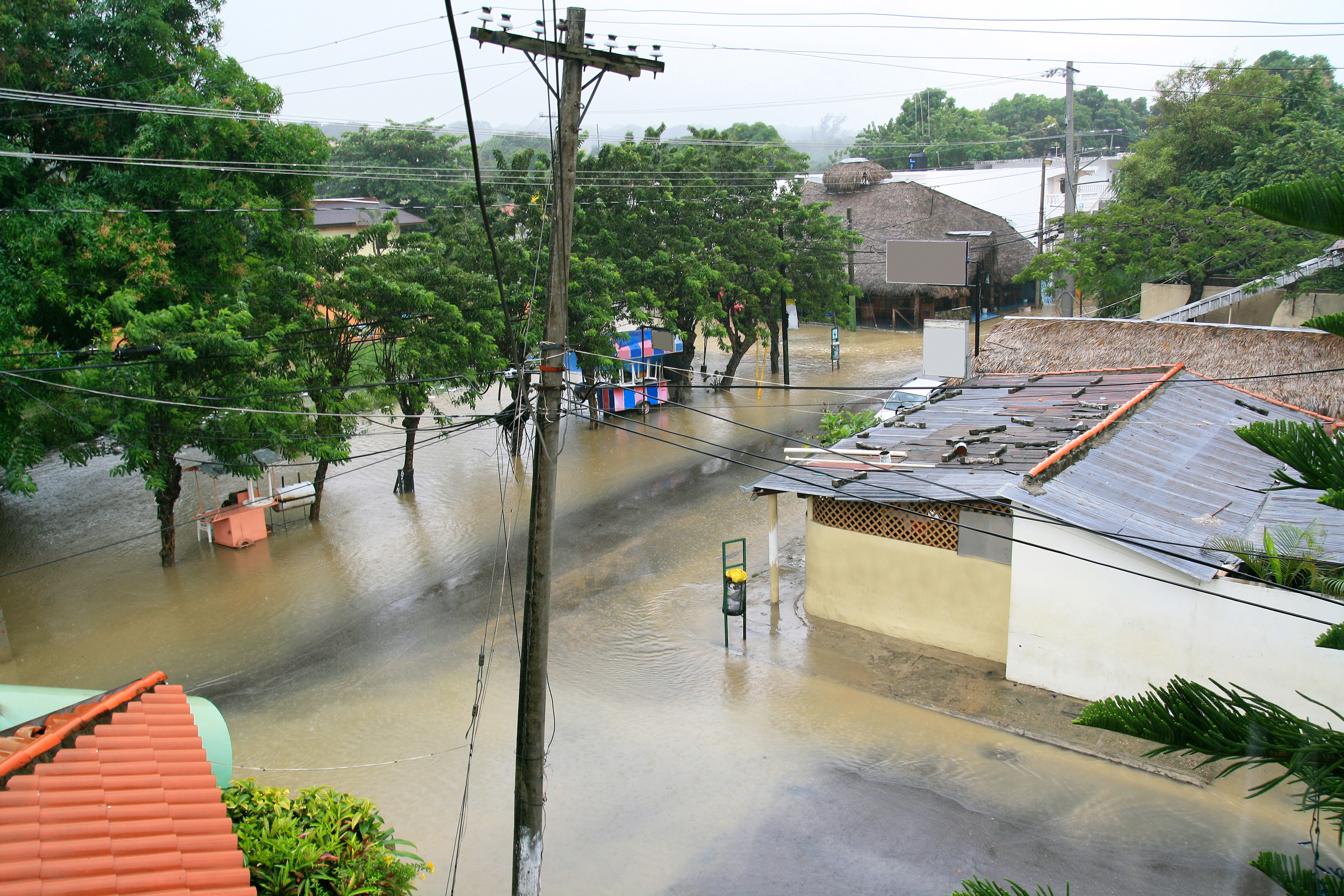 Flooded street with damaged utility poles and buildings filled with water