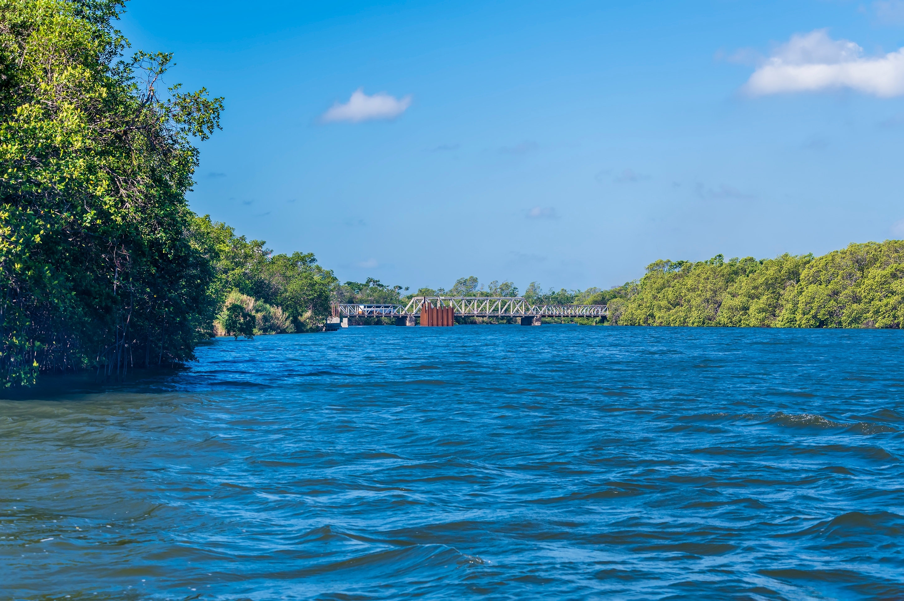 View of a river with a bridge in the background 