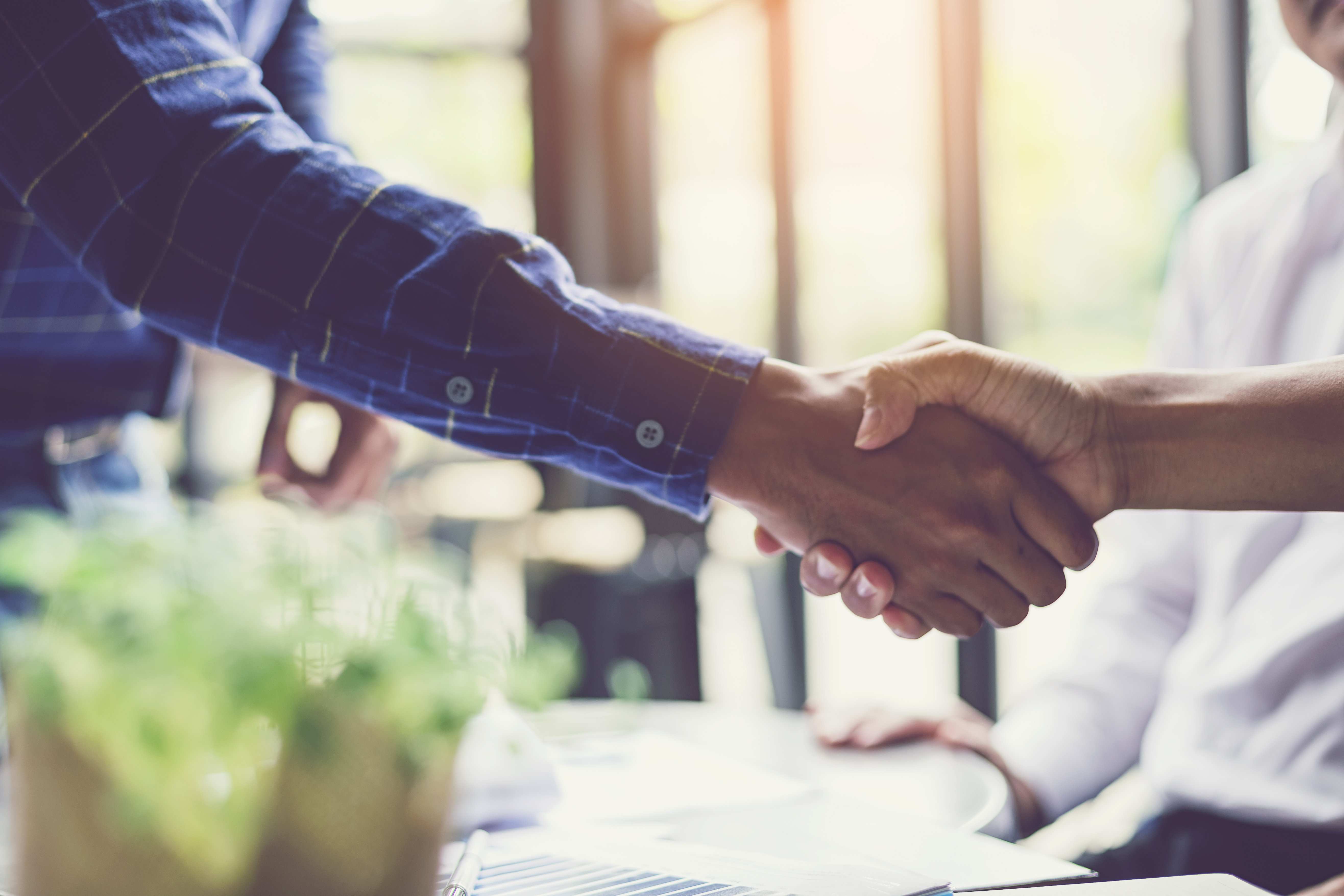 Businessmen hold hands and greet 