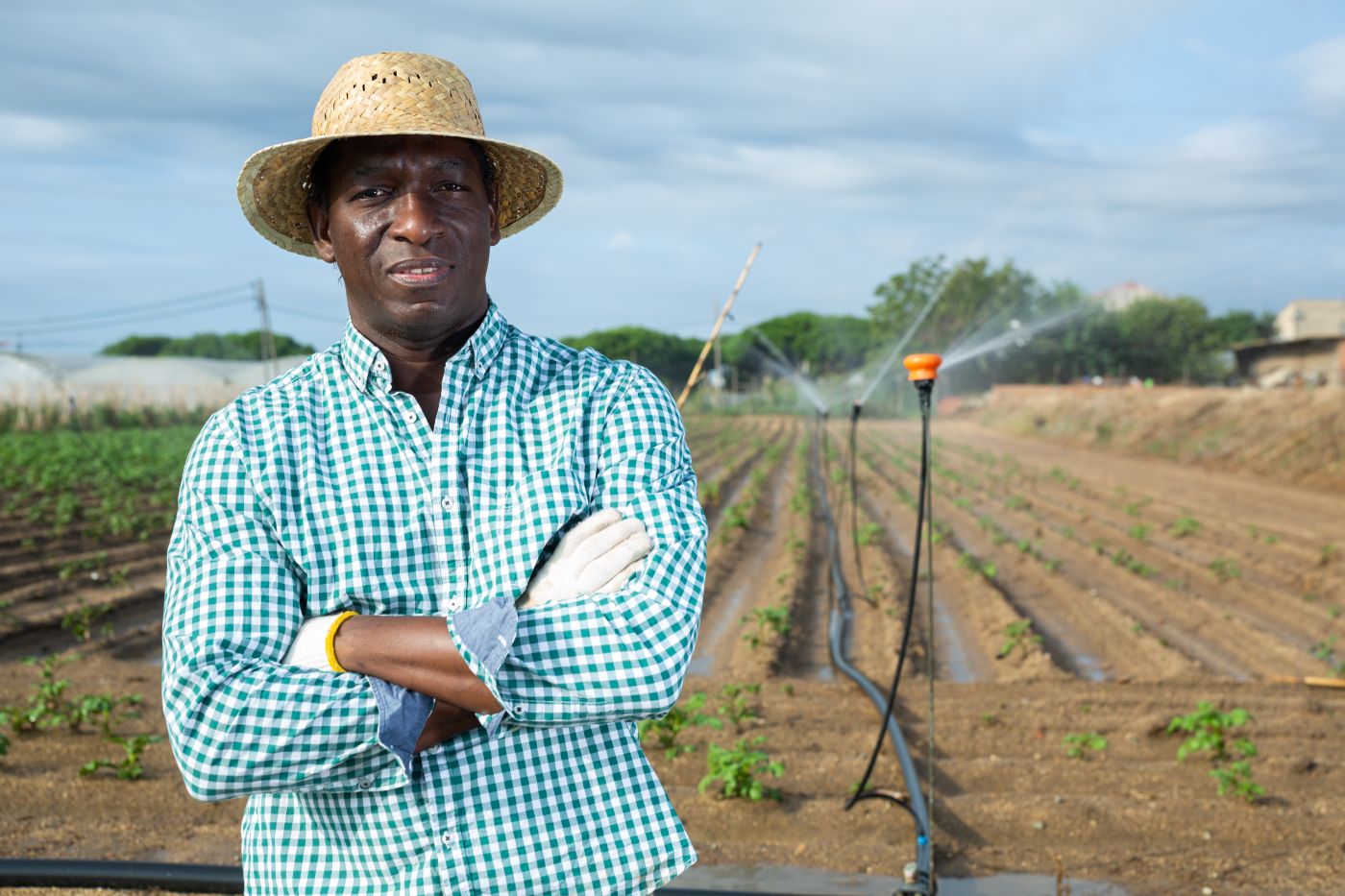 Confident successful black farmer standing with crossed arms against background of farm field with growing potatoes and irrigation system on sunny summer day.