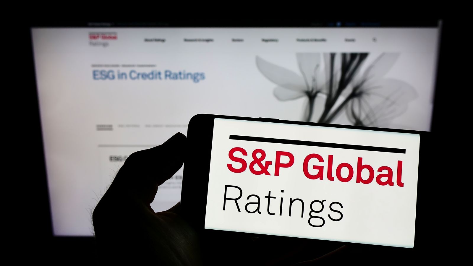 Person holding cellphone with logo of US financial services company SP Global Inc on screen in front of business webpage. Focus on phone display