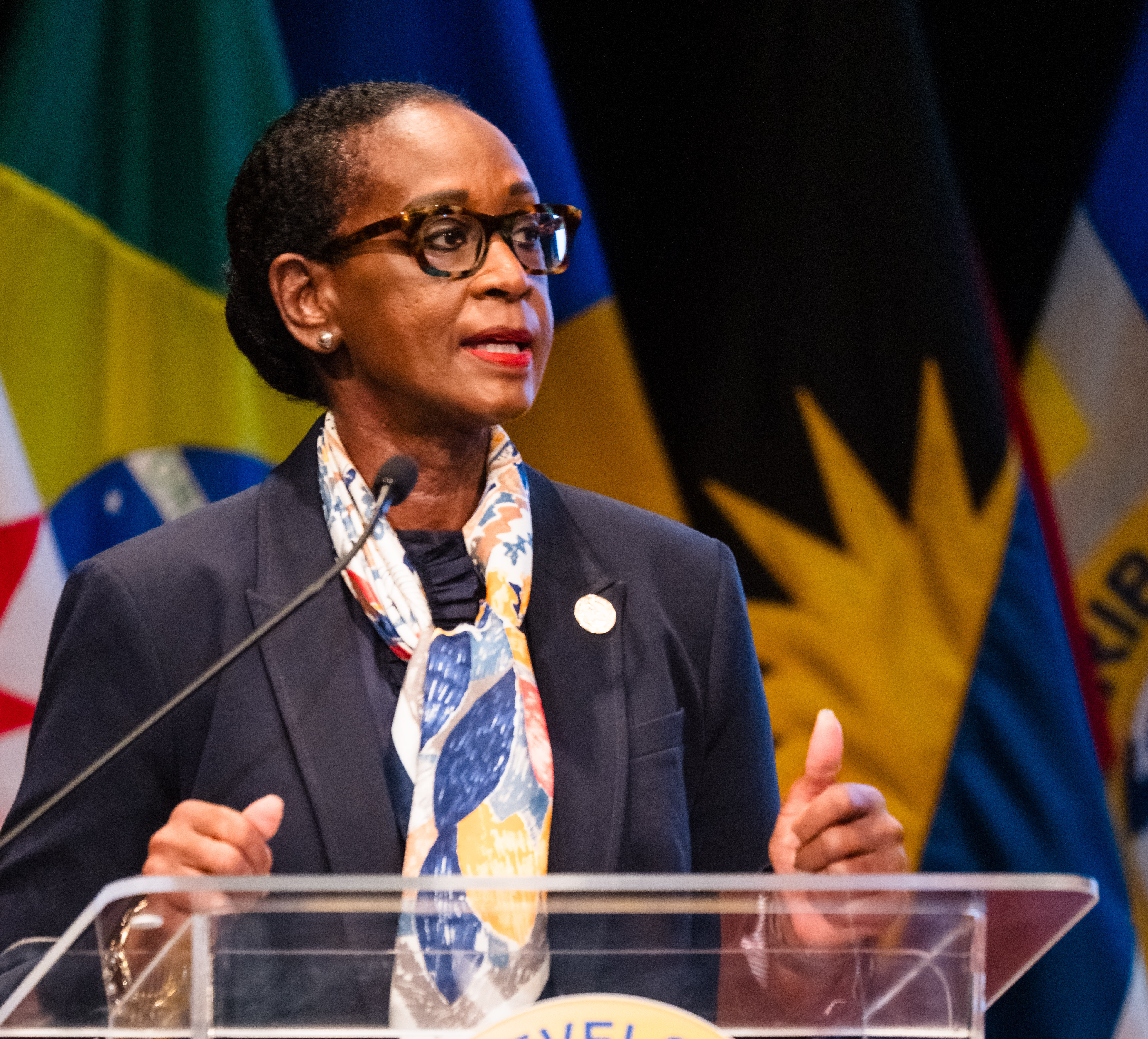 Female speaker in black suit with colourful scarf around neck at a podium addressing an audience, with multiple national flags visible in the background.