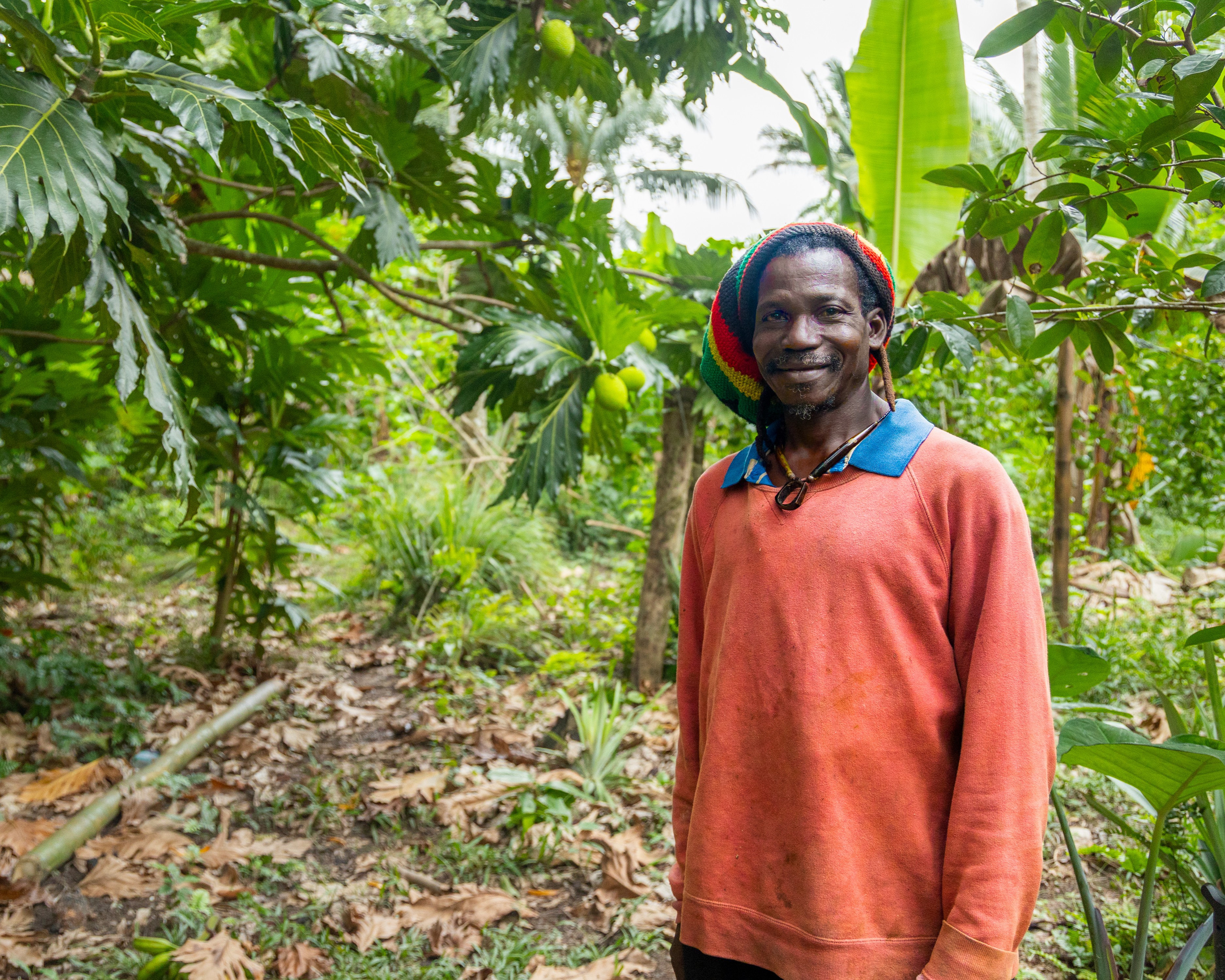 A black man stands in the midst of trees on a farm.