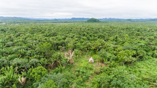 Aerial view of organic farm.