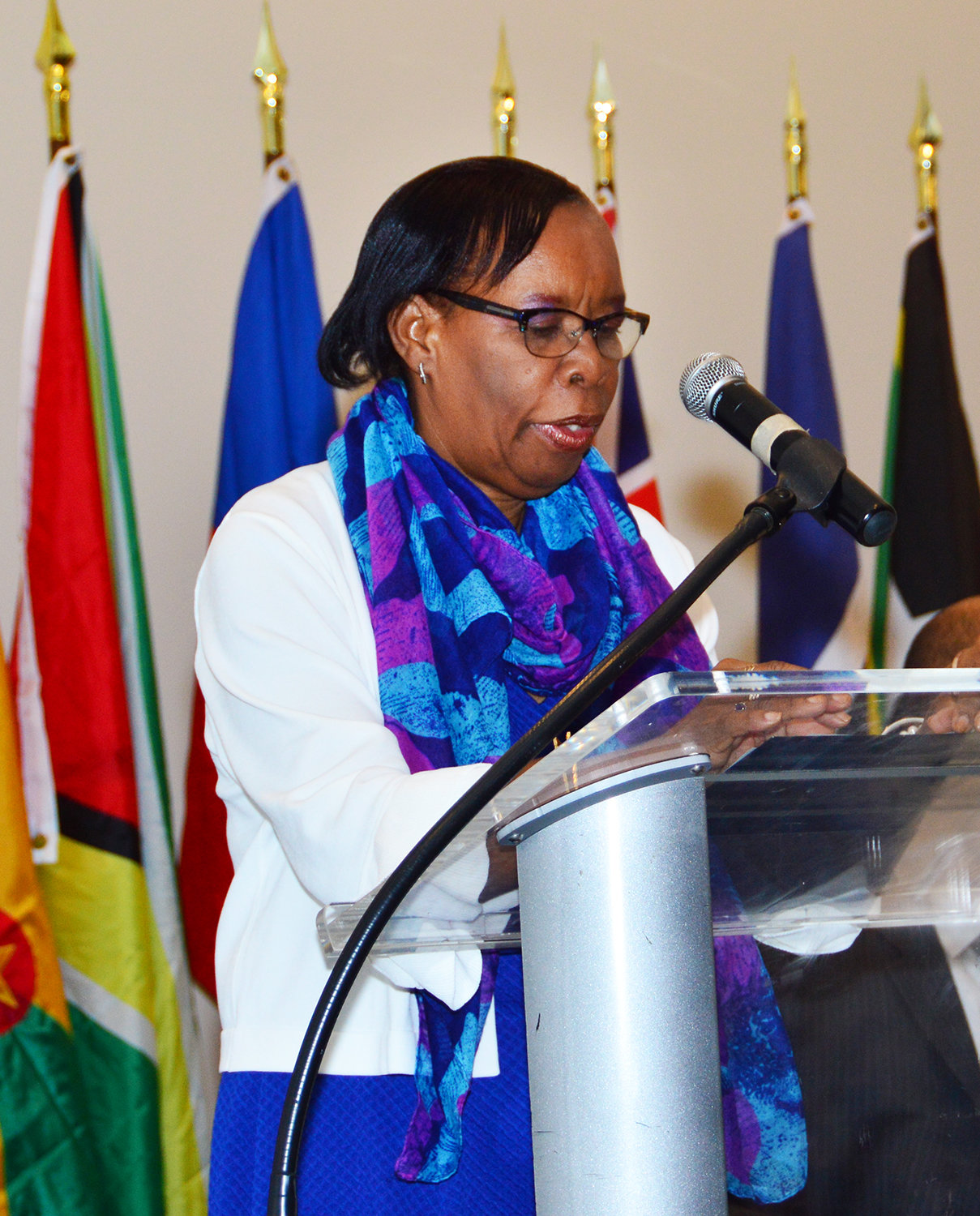 Dr. Philomen Harrison, Project Director, Regional Statistics at the CARICOM Secretariat.