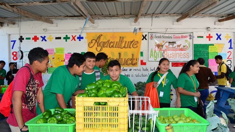 Produce grown by ESTM students is used in the school’s cafeteria and sold in the community.