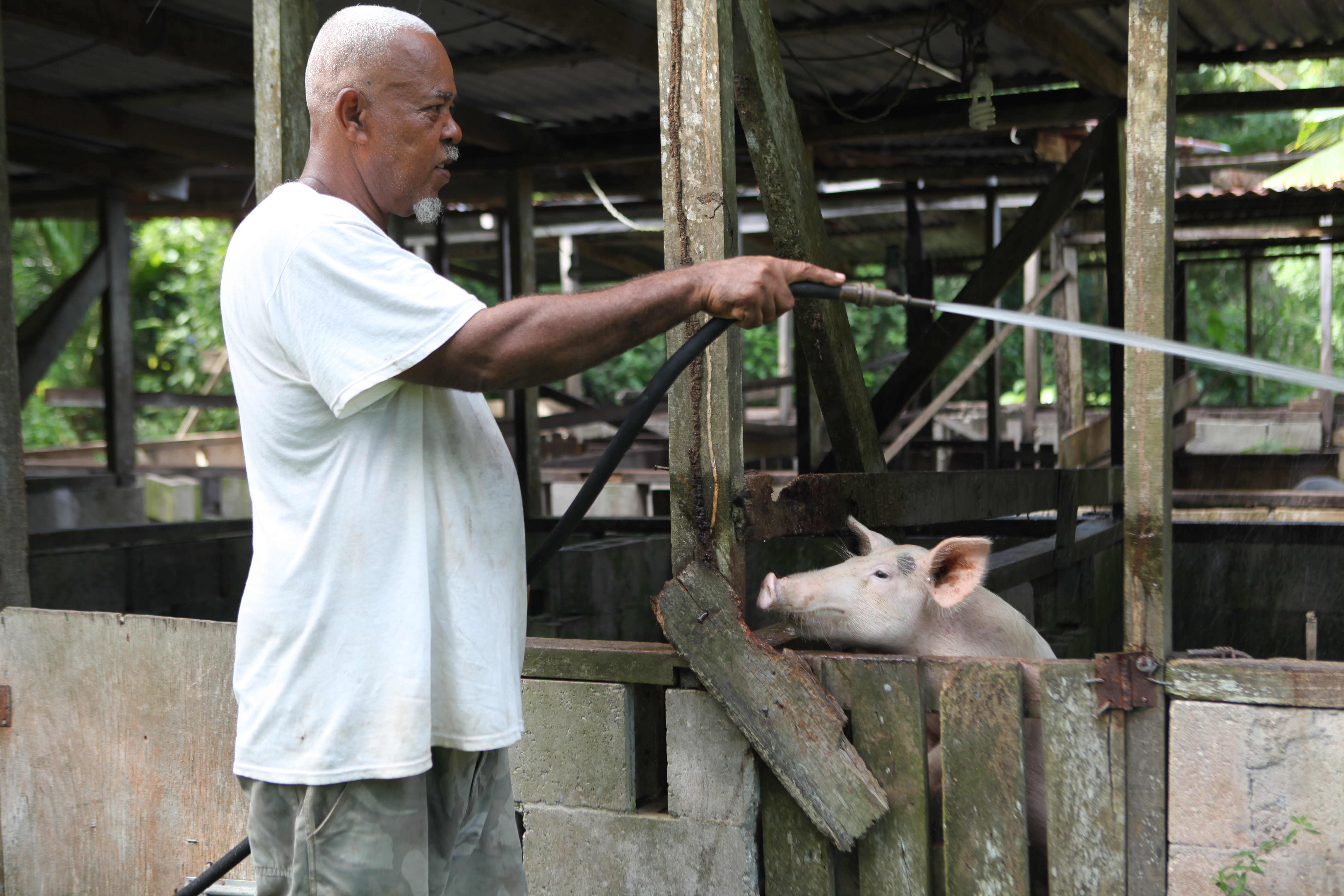 Belize River Valley resident, Tony Anthony, demonstrating how water has helped him at his farm