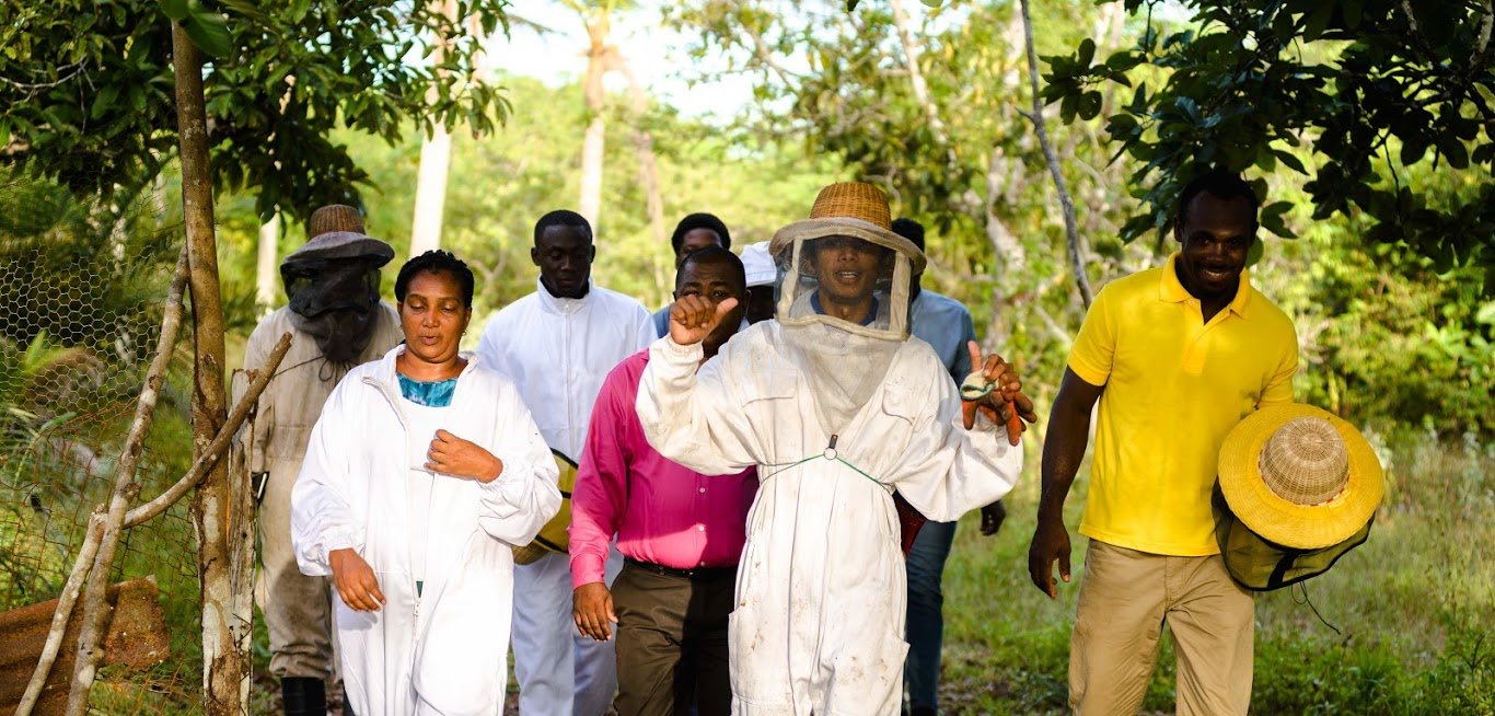 Sharon, left, returns from the apiary with other workshop participants after a honey extraction exercise.