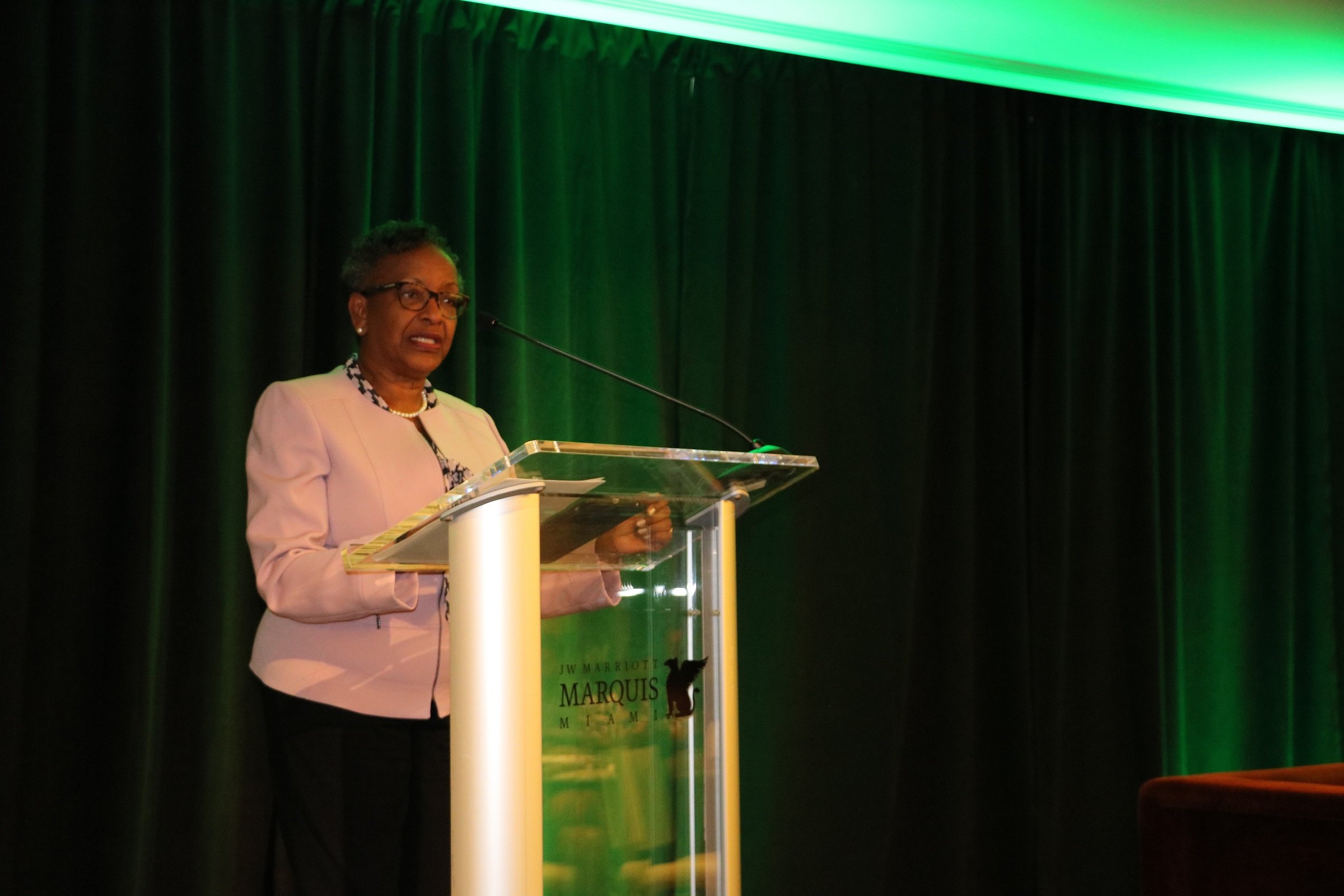 Tessa Williams-Robertson, Head of CDB’s Renewable Energy / Energy Efficiency Unit, delivers welcome remarks at the Utility Leaders Workshop at CREF on October 18, 2017.
