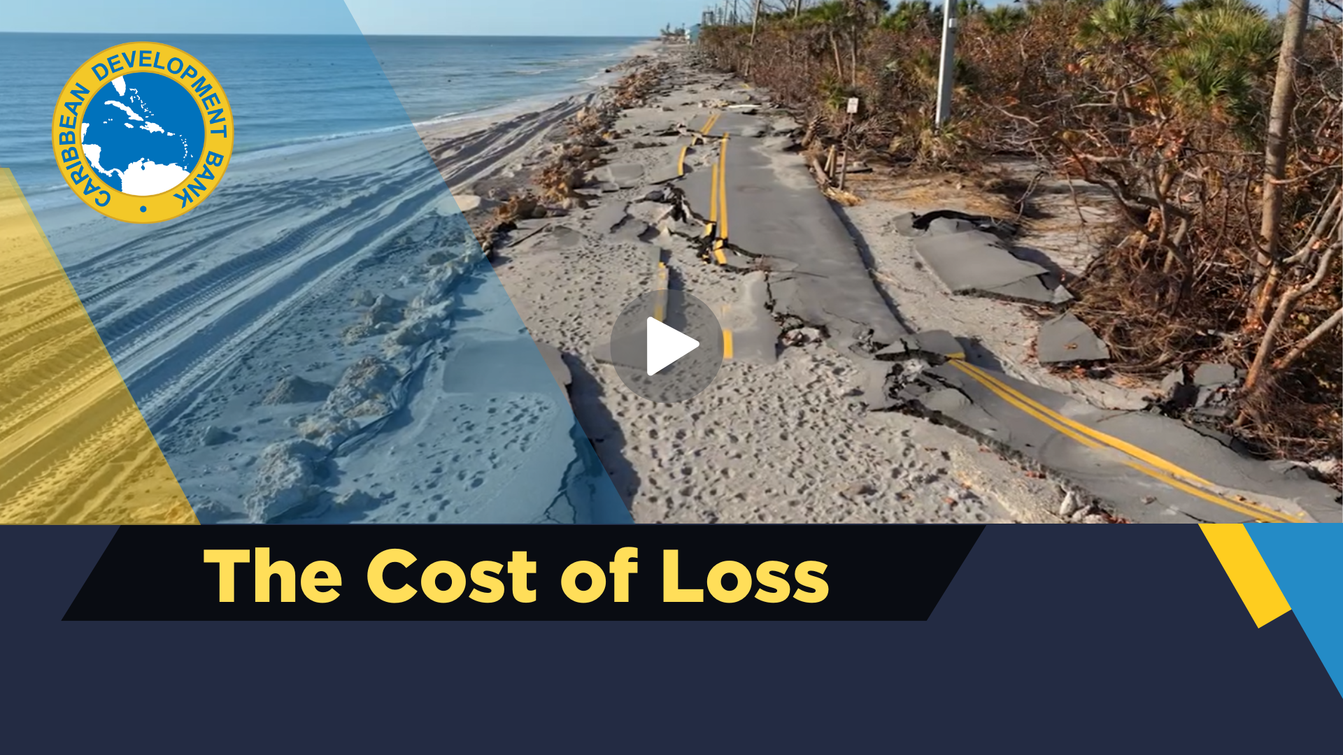 Video: The Cost of Loss