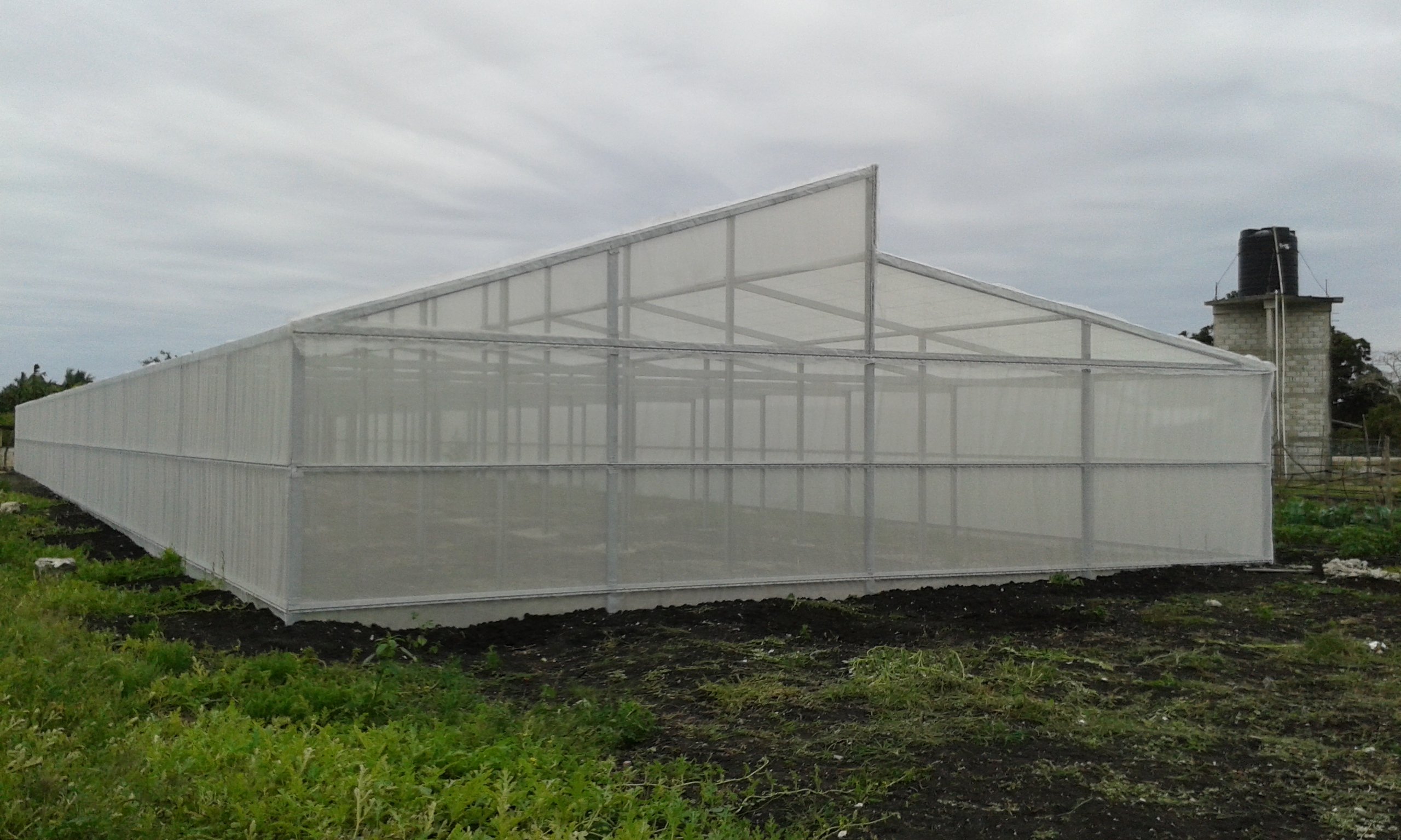 Teachers at ESTM High School will use the greenhouse to expose students to modern agricultural techniques and prepare them for careers in the agribusiness sector.