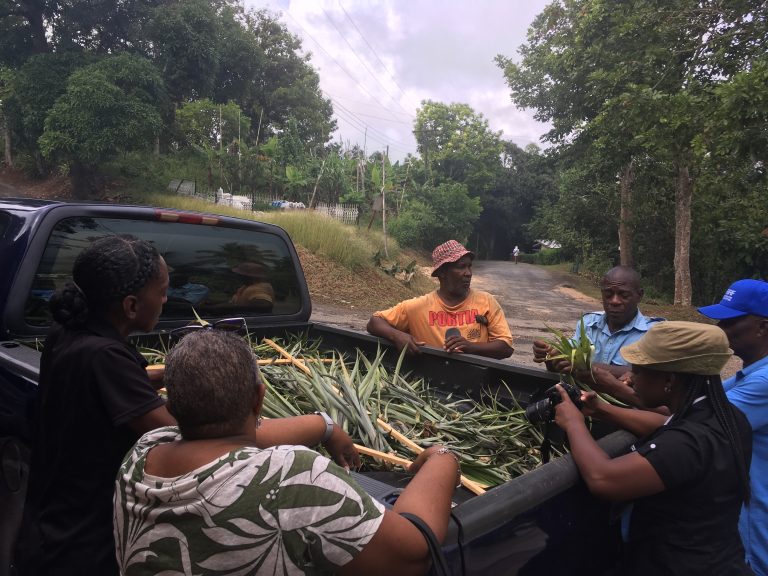 farmers standing around the back of a truck chatting