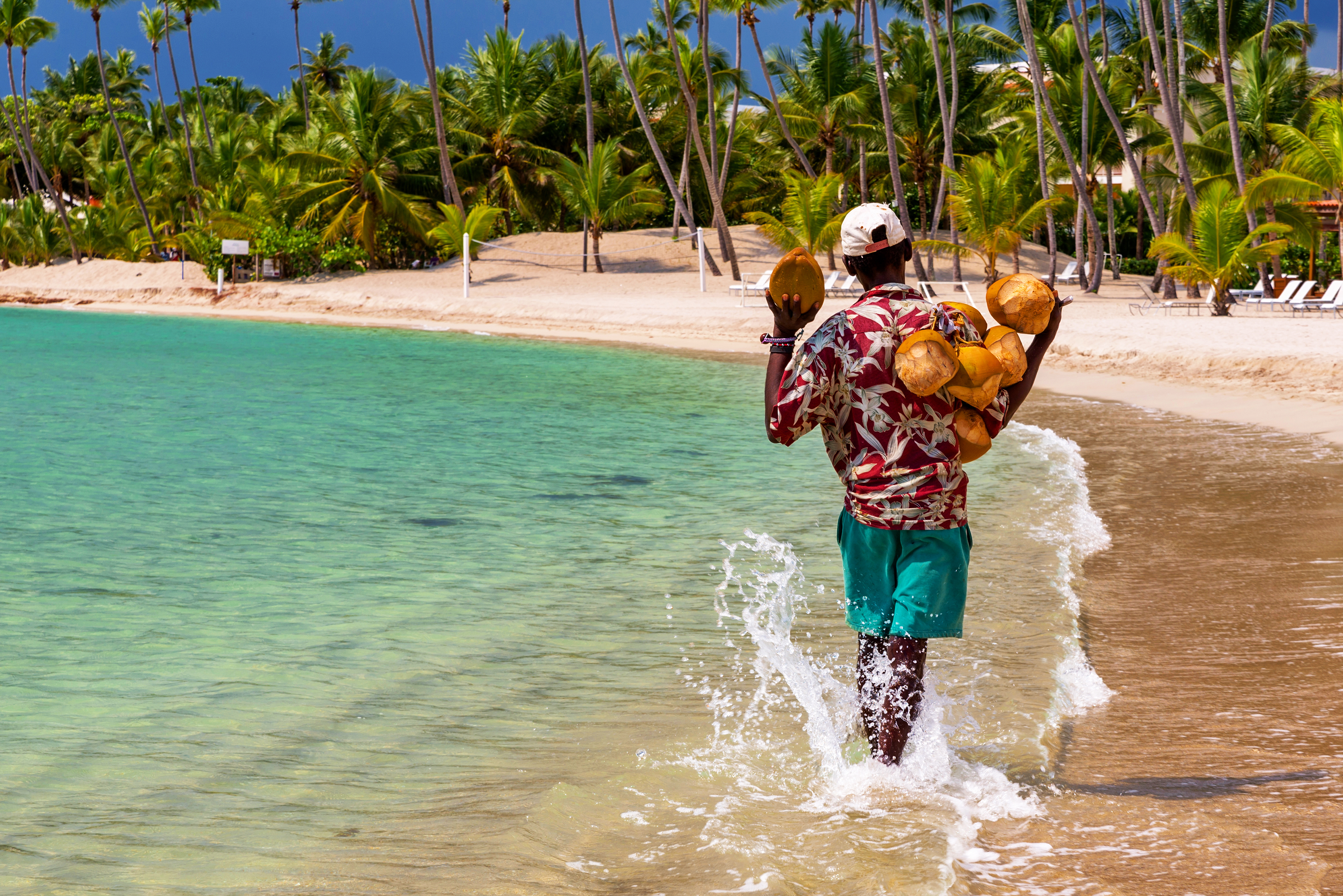 Coconut seller walking by the sea with the atmospheric background of palm trees.