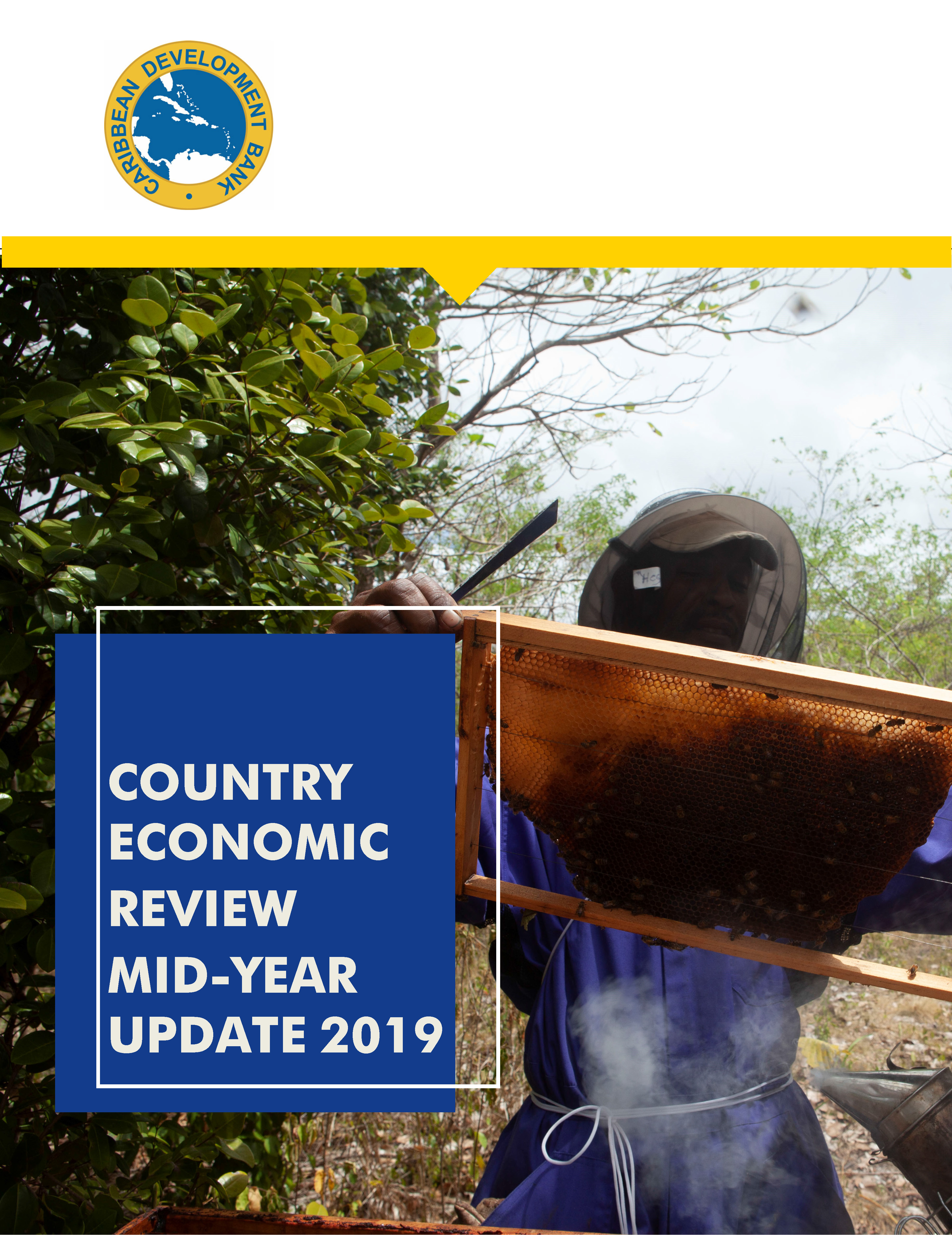 cover of 2019 Economic Review MidYear Update featuring a bee keeper dressed in blue tending to his bees