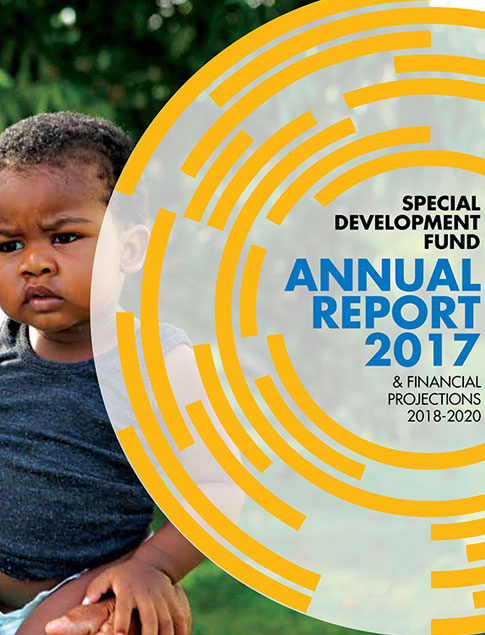 SDF Annual Report 2017 title with image of a young male toddler