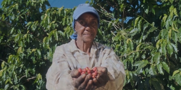 mature female farmer in field with outstretched hands holding cherry tomatoes