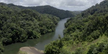 aerial shot of a river in Belize