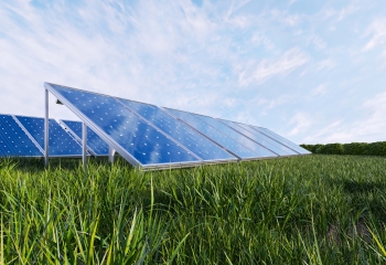 solar panels in green field