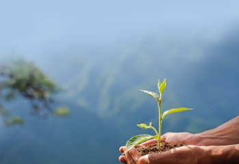 hand cupping soil with young plant with mountains in the background