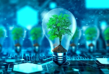 green tree inside lightbulb against digital background