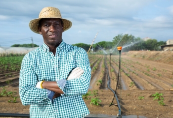 Confident successful black farmer standing with crossed arms against background of farm field with growing potatoes and irrigation system on sunny summer day.