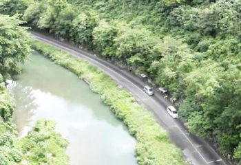 Aerial view of a winding road running alongside a calm river, surrounded by dense green forest and vegetation