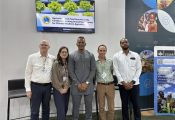 A group of five persons standing in a row looking ahead and smiling dressed professionally