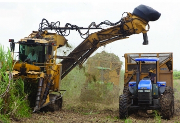 sugar harvester in a field in Guyana