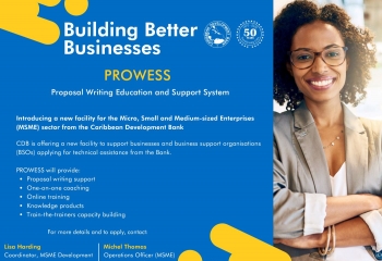 PROWESS blue flyer with confident smiling woman with glasses