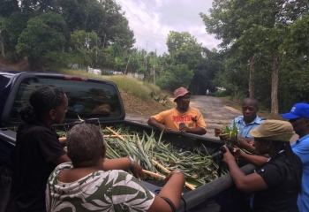 farmers standing around the back of a truck chatting